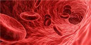 Bước tiến mới trong sản xuất máu nhân tạo