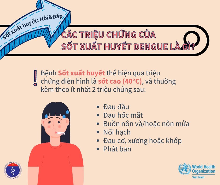 Tác dụng của rau diếp cá trong điều trị sốt xuất huyết