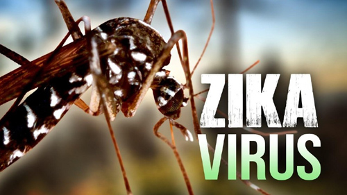 Virus Zika có thể khiến cho đàn ông bị vô sinh?